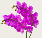2 Pcs Orchid Stems 38" Artificial Flowers Real Touch Latex Faux Phalaenopsis Branches White Artificial Flowers for Wedding Party Home Garden Decor (Purple, 38“)