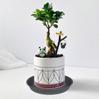 6 Pack Planter Saucer Tray Gray, 4 6 8 10 12 13 15 17 19 inch Pot Saucers, Heavy Duty Plastic Plant Saucers for Indoors, Plant Drip Tray, Plant Trays for pots Planter (6 inch, Cement)