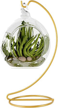 9 Inch Gold Ornament Display Stand, Metal Ornament Hanger Stand for Hanging Glass Globe, Air Plant Terrarium, Witch Ball, Christmas Ornament and Home Wedding Decoration (1, 9x4 Gold)
