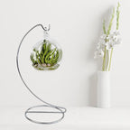 9 Inch Silver Ornament Display Stand, Metal Ornament Hanger Stand for Hanging Glass Globe, Air Plant Terrarium, Witch Ball, Christmas Ornament and Home Wedding Decoration (1, 9x4 Silver)