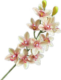 4pcs Artificial Cymbidium Orchid Flower Plant 3D Print Vanda 10 Heads Latex Phalaenopsis Flower (Champagne)