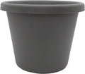 The HC Companies Classic Round Plastic Plant Pot w/Rolled Rim - Lightweight & UV Resistant Flower Pot for Herbs & More - Outdoor & Indoor Plant Pots w/Drainage (11.5 inch Warm Gray, Pack of 1)