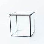 Small Square Glass Terrarium with Lid,Geometric Clear Box for Indoor Plants,Black Little Handmade Planter Pot for Succulents,Moss and Air Plant Fern,Home Garden Decor,4.3 x 4.3 x 4.7inch