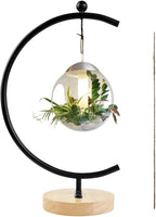 YY YEARCHY Ornament Display Stand Metal Stand Terrarium Air Plant Stand Flower Pot Holder Iron Pothook Stand for Hanging Glass Globe Ball