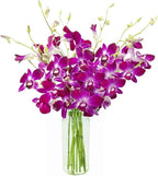 KaBloom PRIME NEXT DAY DELIVERY - Fall Collection - 10 Purple Orchid Gift for Birthday, Sympathy, Anniversary, Get Well, Thank You, Valentine, Mother’s Day Flowers