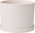 Bloem Mathers 8" Vanilla Bean Round Modern Resin Garden Planter Pot with Drainage Holes and Removable Saucer Tray Included