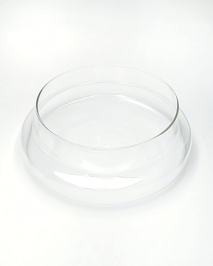 Handblown 7" Glass Terrarium with Opening for Air Flow & Cork Stopper Cloche Style Glass Dome Vivarium Display Case (Small)