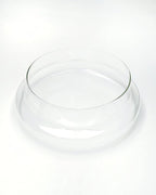 Handblown 12" Glass Terrarium with Opening for Air Flow & Cork Stopper Cloche Style Glass Dome Vivarium Display Case (Extra Large)