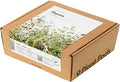 Click and Grow Smart Garden Thyme Plant Pods, 9-Pack