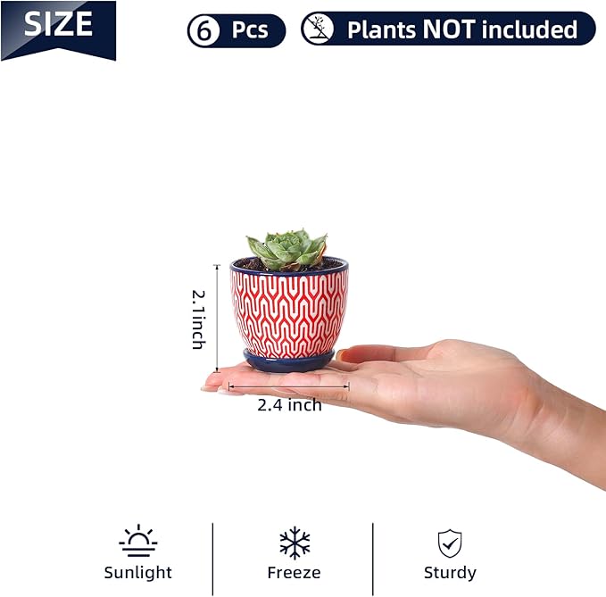 Selamica Ceramic 2.4 Inch Succulent Pots, Mini Flower Pots for Cactus Plant with Drainage Holes & Saucers, Home Decor, Set of 6, Assorted Colors