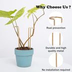 8.7 Inch Indoor Plant Trellis -10 Pack Small Gold Plant Supports for Outdoor Plants, Monstera Trellis Stakes & Stem Holders, Durable Iron Garden Flower Support for Young Plant Growth
