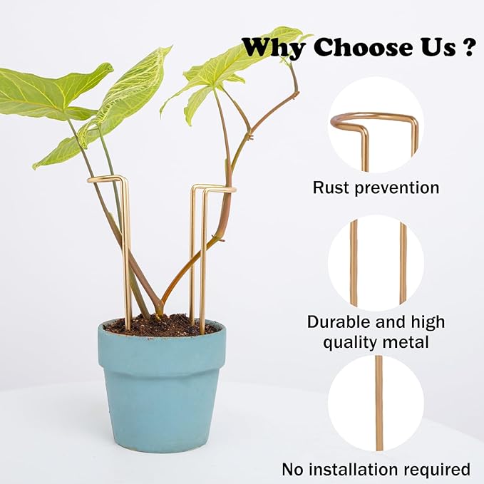8.7 Inch Indoor Plant Trellis -10 Pack Small Gold Plant Supports for Outdoor Plants, Monstera Trellis Stakes & Stem Holders, Durable Iron Garden Flower Support for Young Plant Growth