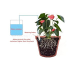 New Upgraded Plant Watering Stakes, Self Watering Stakes with Valve Switch Control, Self Watering Planter Insert for Pots, Automatic Plant Waterer for Vacation/Indoor & Outdoor Use (9)