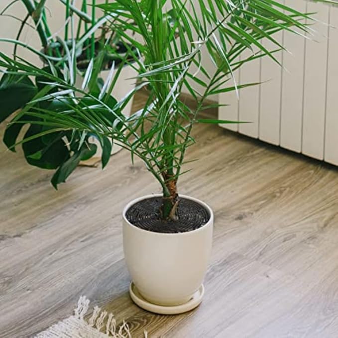 Four Piece Flower Pot Grids Set Designed for Plant Protection from Pets, Made with Resistant Plastic Material for Indoor and Outdoor Use (B)