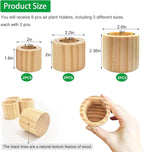 Belit 6 Pcs Air Plant Holder, 3 Sizes Wooden Air Plants Live Holders for Home Decor (NO Plant Included)
