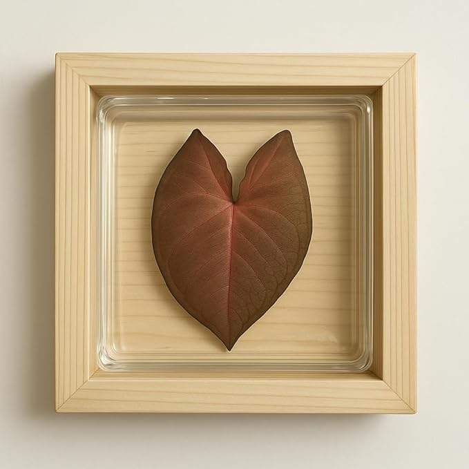 DIY Live Plant Art – Grow Your Creation with Terra Gel | Easy to Use | Living Plants in Every Picture