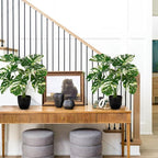 Hollyone Artificial Monstera Plant 17" Faux Monstera Deliciosa Plant in Black Pot Fake Swiss Cheese Tropical Plant Potted for Indoor Outdoor Floor Home Office Living Room Decor, 2 Pack