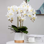 FagusHome 32" Artificial Phalaenopsis Flowers 6 Pcs with 4 Bundles Leaves Artificial Orchid Flowers Stem Plants for Home Décor (6Pcs)