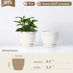 Sureasy 6.5 Inch Ceramic Plant Pots, Embossed Decorative Planters with Drainage Hole and Saucer, Modern Flower Pots for Indoor Plants, Set of 2, Glazed White