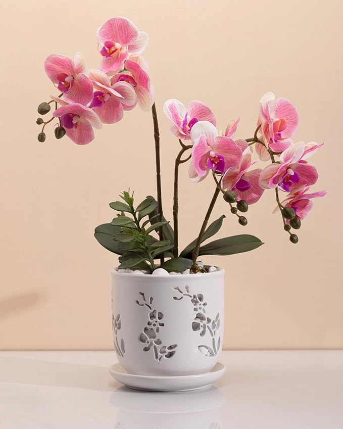 Fayoula Orchid Pot, 6.5 inch Large Orchid Pots with Holes for Healthy Growth and Easy Repotting, Premium Ceramic Orchid Planter for Indoor and Outdoor Use, (Note : Plant Not Included)