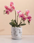 Fayoula Orchid Pot, 6.5 inch Large Orchid Pots with Holes for Healthy Growth and Easy Repotting, Premium Ceramic Orchid Planter for Indoor and Outdoor Use, (Note : Plant Not Included)