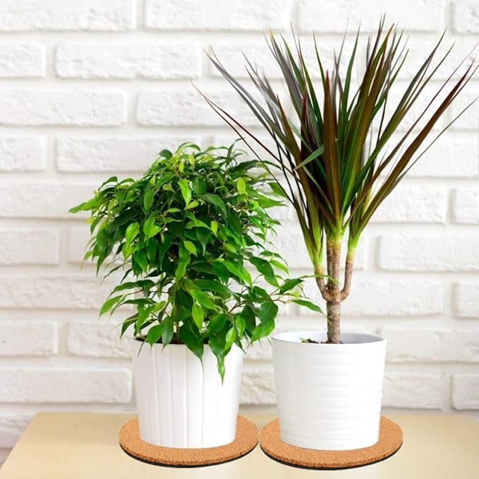 6 Pieces Cork Plant Coasters, 6 Inch Cork Plant Mats, Cork Coaster for Planters, Plant Coasters for House Plants Indoors (Nude & Black)