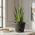 SUN-E 10 Inch Self Watering Planter Pots 3Pack-Dark Brown Realistic Wood Grain with Water Level Indicator, Drainage Holes&Saucer Whiskey Barrel Planters Plastic Flower Pots,Plants & Decor Not Included