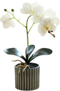 Artificial Orchid 12.6 Inch Tall Realistic Faux Orchid in A Pot Real Touch Decorative Bonsai Fake Flowers for Table Centerpieces Living Room Home Decor White