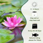 Mainam Mixed Colorful Hardy Water Lily Tuber Live Aquarium Plant for Freshwater Fish Pond Balcony Buy 2 GET Fertilizer Free (Red Nymphaea Sultan)