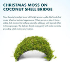 SubstrateSource Live Planted Decor - Christmas Moss (Vesicularia montagnei) on Coconut Shell Bridge - Low Light, Green Freshwater Aquatic Plant, Foreground Aquarium Placement for Aquascaping - 1 Pack