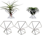 Geometric Air Plant Holder Airplants Rack Metal Plants Stand Planter Shelves Himmeli Living Decor Tillandsia Pot Containers (Silver 5pcs)