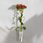 AIEX 6pcs 60ml Flower Water Tubes with Lid, Large Plastic Floral Water Tubes, Flower Tubes for Fresh Flowers Sunflower Milkweed Cutting Arrangement 4.1x1.8inch/10.8x3.6cm (Transparent)