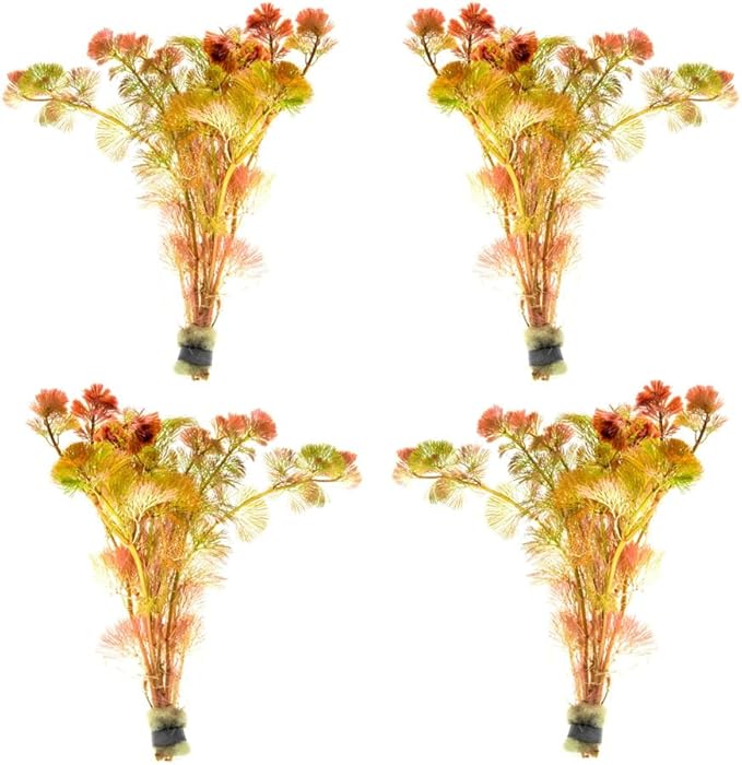 SubstrateSource Live Aquarium Red Stem Plants - Freshwater Aquatic Plant for Fish Tanks, Aquascaping - (Cabomba Piauhyensis Red, 4 Bunches)