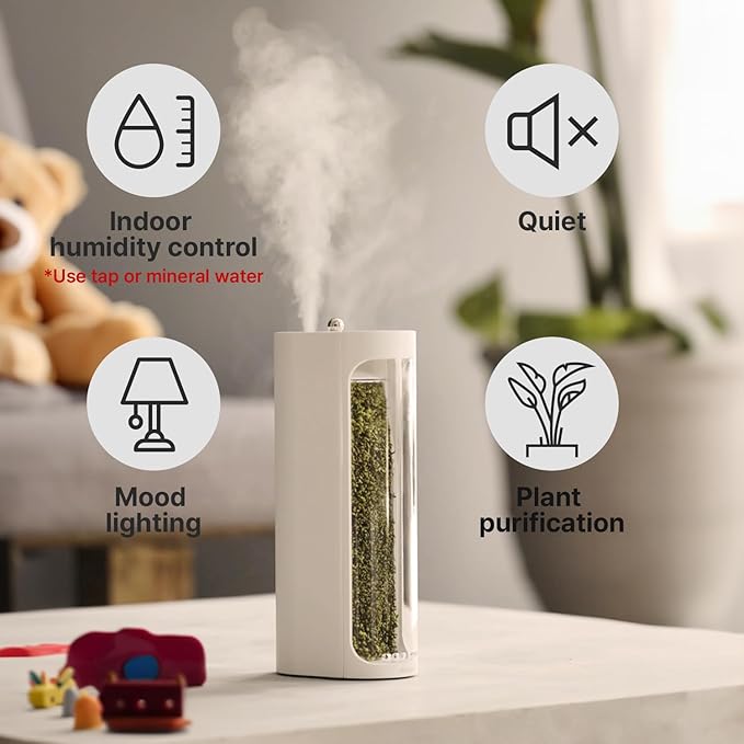 Moss Air – Living Moss Terrarium Humidifier | Soothing Mist Fountain & Ambient Light | Zen Desk Decor, Aesthetic Room Decor | Portable & Whisper-Quiet
