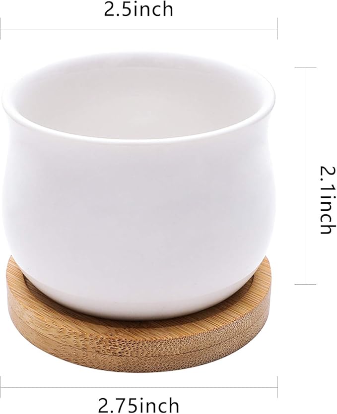 SHECIPIN Succulent Plant Pot, White Mini 2.6 inch Ceramic Flower Planter Pot with Bamboo Tray, Pack of 8 - Plants Not Included