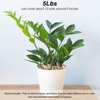 Landscaping Rocks,Landscaping Pebbles River Rocks Decorative Ornamental Pebbles Garden Landscaping Stones Gravel Filler for Home Decoration Flower Bed Fish Tank Plants Vases Succulents (5 Pounds)