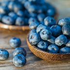 Brighter Blooms - Top Hat Blueberry Bush, 1 Gallon - No Shipping to AK, AZ, CA, GA, HI, MI, OR, WA