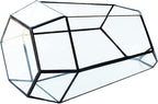 Geometric Glass Terrarium for Indoor Plants,Irregular Clear Planter,Black Opened Container Pot for Cacti,Succulents and Moss,Home Garden Office Tabletop Decor,6.5x5.7x9.8'' No Door