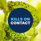 BioAdvanced Houseplant Insect & Mite Control, Ready-to-Use Fungal Disease & Fungus Gnats Killer, 24 oz, Plant Spray for Fungus Gnats