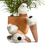 Bird Shaped Plant Watering Globes(4ps) Plants Suitable for Indoor and Outdoor Use Should be Kept Constantly Moist. The Interesting Shape Makes The Garden More Interesting and Beautiful.