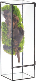 NCYP Closed Glass Terrarium with Door - 3.9x3.9x11.8 Inches Rectangular Tall Planter Box for Fern, Succulent Plants, Home Garden Tabletop Decor, Handmade (Terrarium Only)