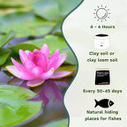Mainam Mixed Colorful Hardy Water Lily Tuber Live Aquarium Plant for Freshwater Fish Pond Balcony Buy 2 GET Fertilizer Free (Pink Nymphaea Tubtim Siam)