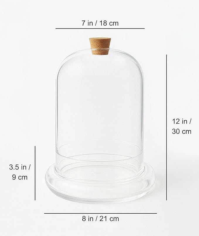 Handblown 12" Glass Terrarium with Opening for Air Flow & Cork Stopper Cloche Style Glass Dome Vivarium Display Case (Extra Large)