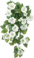 OakRidge Petunia Hanging Stem Outdoor