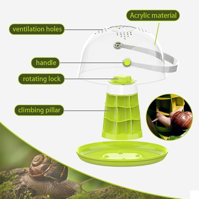 Snail Terrariums Breeding Box, Round Habitat Starter Terrarium Kit, Transparent Feeding Box, Ideal for Beetles, Spiders and Small Reptile