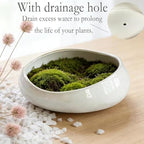 Modern Ceramic Succulent Pot with Drainage – Indoor Plant Pots, Artistic Design Flower Pots for Home, Office, Weddings & Party Décor