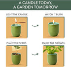 Modern Sprout - 2-in-1 Soy Candle & Planter - in The Weeds (Eucalyptus, Pink Pepper, Patchouli, Citrus) 6 Oz Scented Candle w/Mint Seeds - Ceramic Vessel Dual Purpose Jar - 38-40 Hour Burn