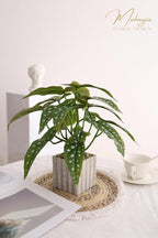 Muhanjia Artificial Potted Plant, Lifelike Faux Greenery in Decorative Cement-Look Square Pot for Indoor Home Decor Centerpieces (Polka Dot Begonia)