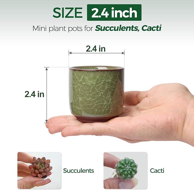 T4U 2.5 Inch Small Ceramic Succulent Planter Pot with Drainage Hole Set of 12, Ice Crack Glaze Plant Container for Cactus, Plant Lover Gifts for Women Mom Coworker Home Office Decor