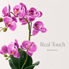 Avoeco Artificial Real Touch Orchid Plant – 15" Faux Phalaenopsis in Pot – Highly Realistic Silk Orchid Flower & Leaf Texture for Home, Office,Shop & Wedding Décor (Fuchsia, 15“)